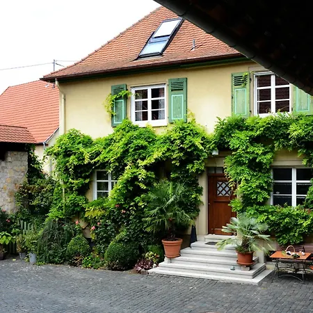 Weingut Jung 农家乐 Undenheim